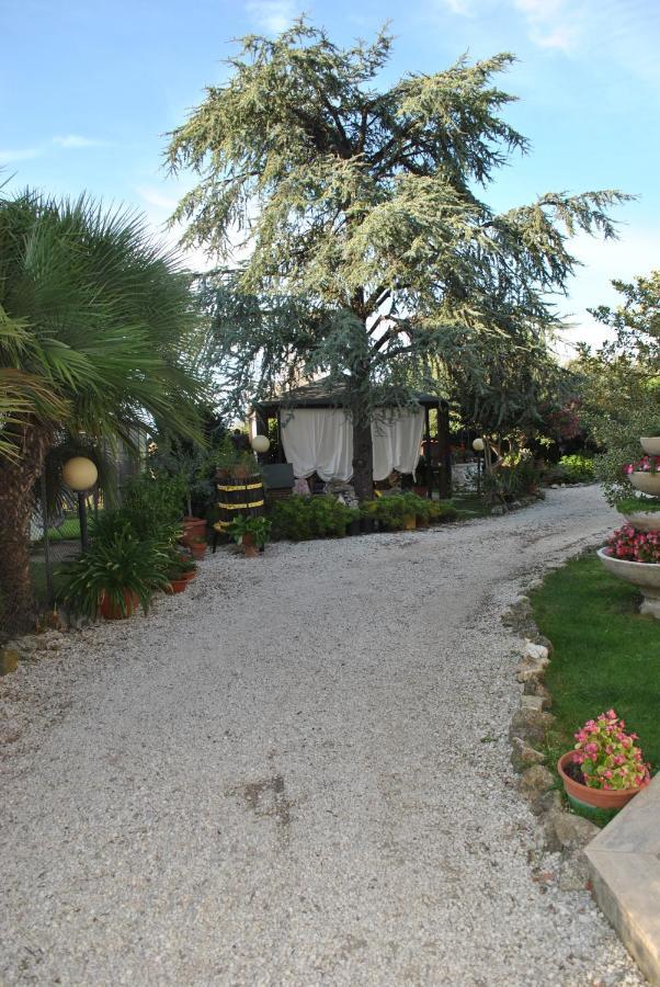 Villino Alle Terme Витербо Экстерьер фото